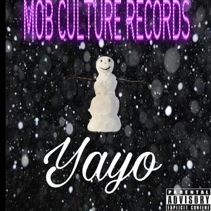 Yayo