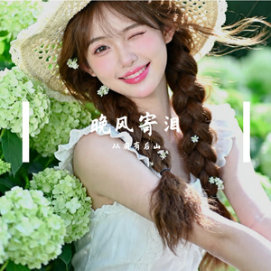 晚风寄泪