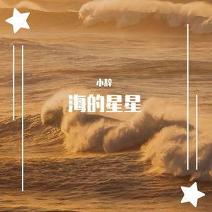 海的星星