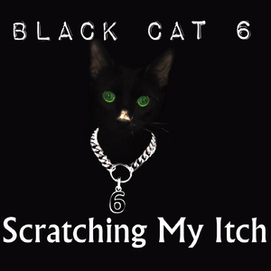 Black Cat