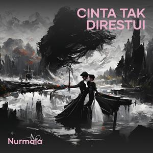 Cinta Tak Direstui