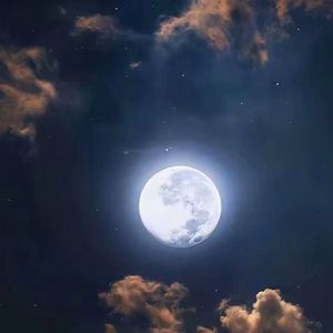 Welcome to Wonderland