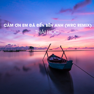Cảm Ơn Em Đã Đến Bên Anh (WRC Remix)