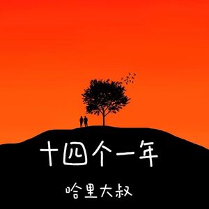 十四个一年