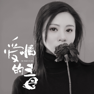 爱情的毒 (DJ版)