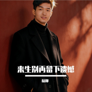 来生别再留下遗憾