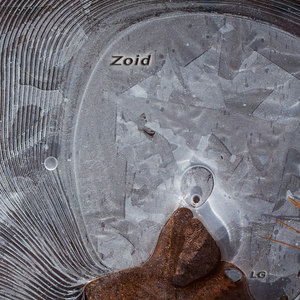 Zoid