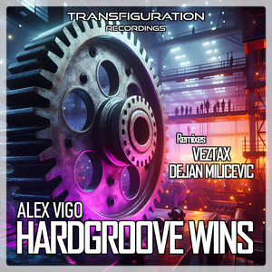 Hardgroove Wins (Melodic Groove Mix)
