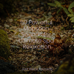 Golden Illusion Boulevard