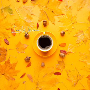 Sunset Over Maple Street