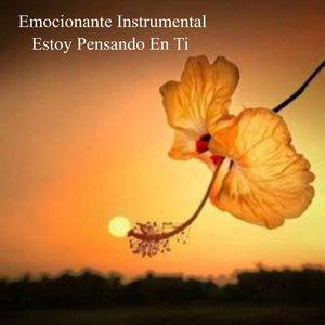 Disminuye La Ansiedad