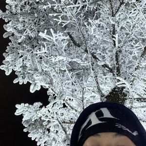 微信爱 Wechat Love