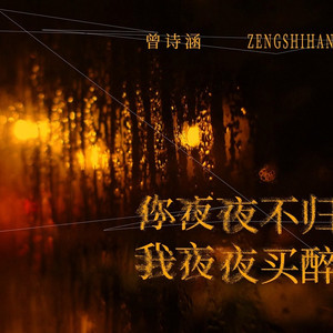 你夜夜不归我夜夜买醉