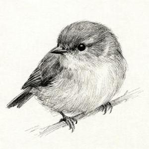 理想三旬 (Cover 陈鸿宇)