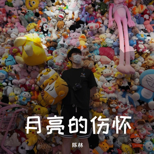 月亮的伤怀
