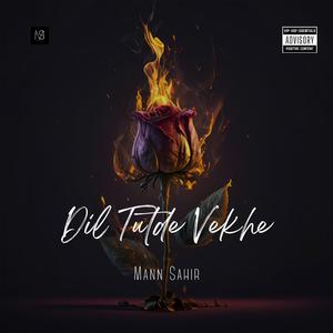 Dil Tutde Vekhe