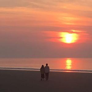 浪漫巡演（翻自 单色凌）