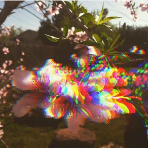 bloom (demo)