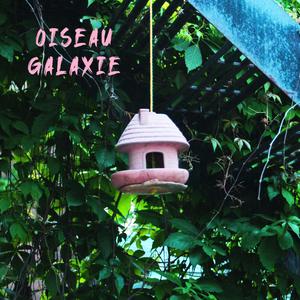 Oiseau galaxie