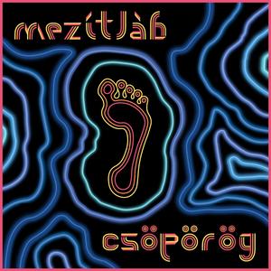 Egy szürke papagáj pályaválasztási gondolatai