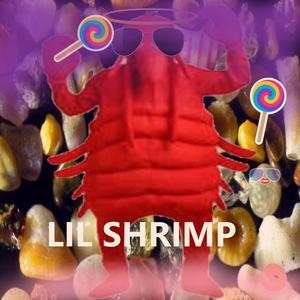 JK LOL LMAO ROFL XD P WHAT DOES P STAND FOR WGHAAAAAAT