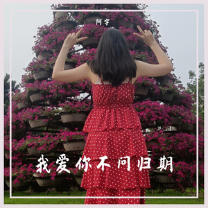 我爱你不问归期
