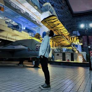 一个人的北京-江为宇