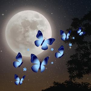 Chciałam być jak drzewo