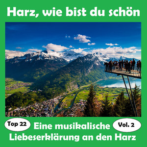 Im Harzerland auf Bergeshöhn