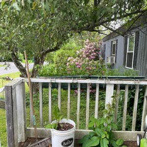 i wish i was honest with my mom like i am to my mic