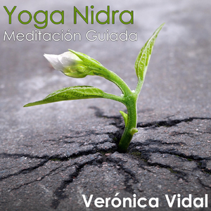 Yoga Nidra Meditación Guiada