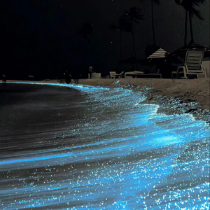 为你不值得（女声完整版）