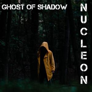 Ghost of shadow