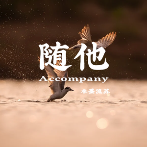 随他（Accompany）