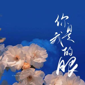 你是我的眼