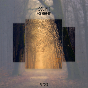 Oberheim (Stream Edition)