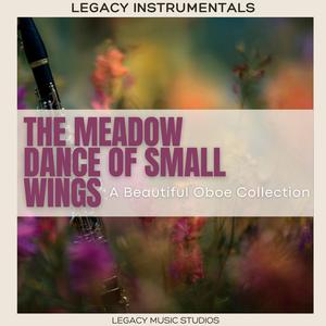 MOVEMENT IV — A Light Lost Over the Mountains