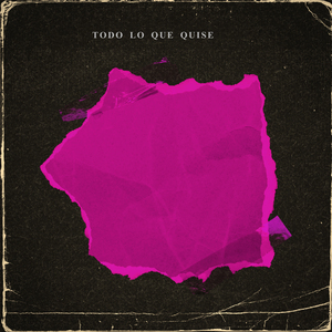 Todo Lo Que Quise