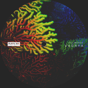 Vadrya (Original Mix)