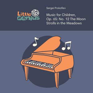 Music for Children, Op. 65: No. 12 The Moon Strolls in the Meadows (Sleep Version)