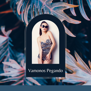 Vamonos Pegando