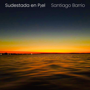 Sudestada en P¡el