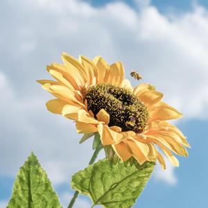 爱情游戏的规则