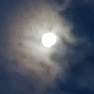 再逢明月照九州（不知苦）