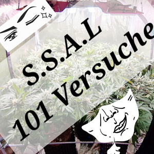 101 Versuche
