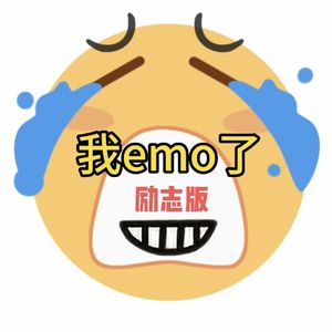 我EMO了（励志版）