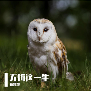 放下包袱