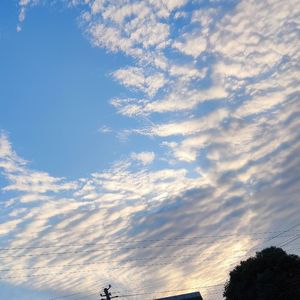 白日梦