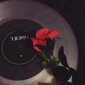 《遇见你的时候所有星星都落在我头上》