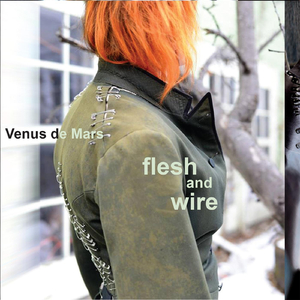 Take My Shoulder (feat. Laura Jane Grace)